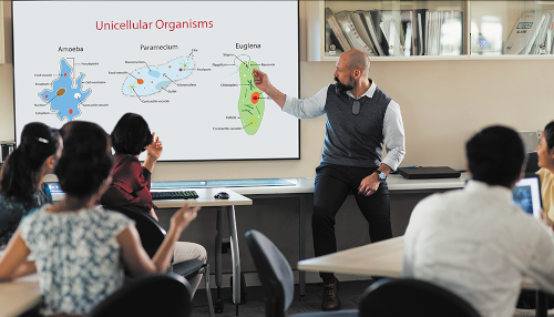 Image of Teacher Presenting in a Classroom